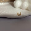 Subtle Luxe