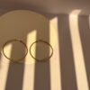 Golden Nile Loops