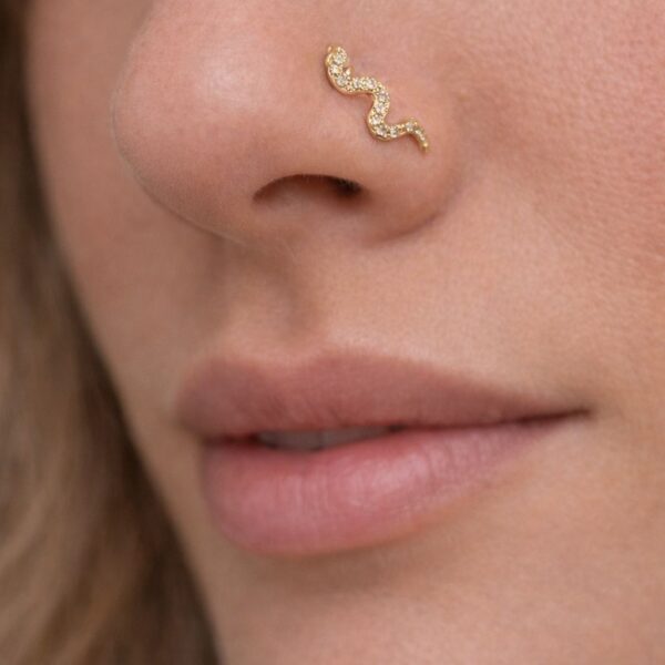 N0017 (2) Serpentina Piercing