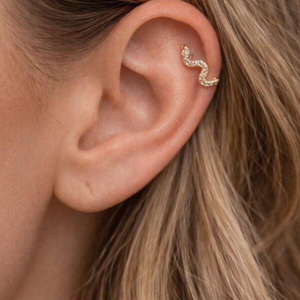 N0017 (3) Serpentina Piercing