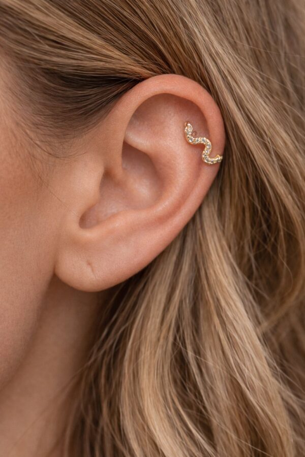 N0017 (3) Serpentina Piercing