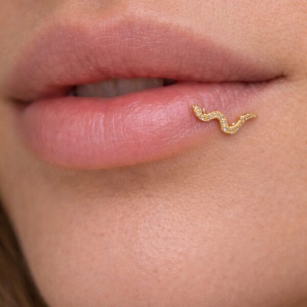 N0017 (4) Serpentina Piercing