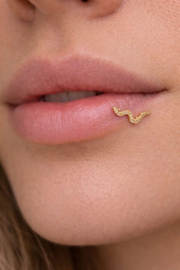 N0017 (4) Serpentina Piercing