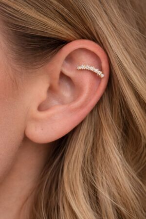 N0020 (1) Stellar Arc_