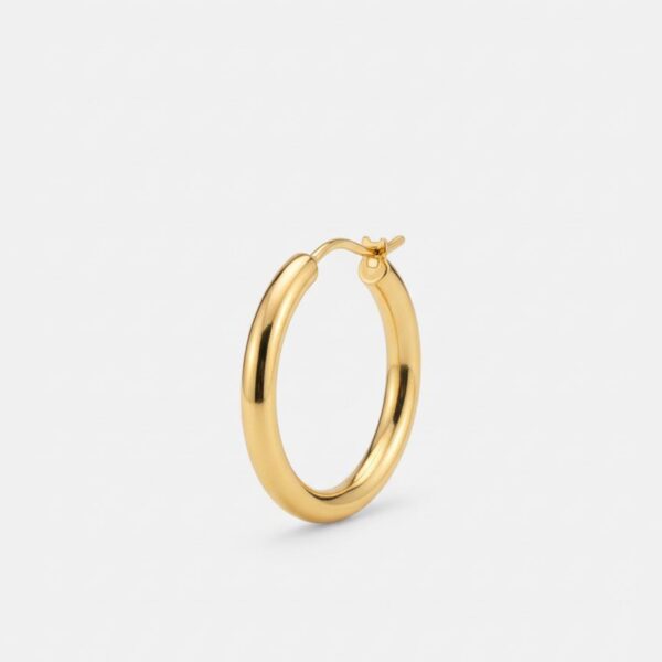 N0046 (1) Classic Halo Hoop