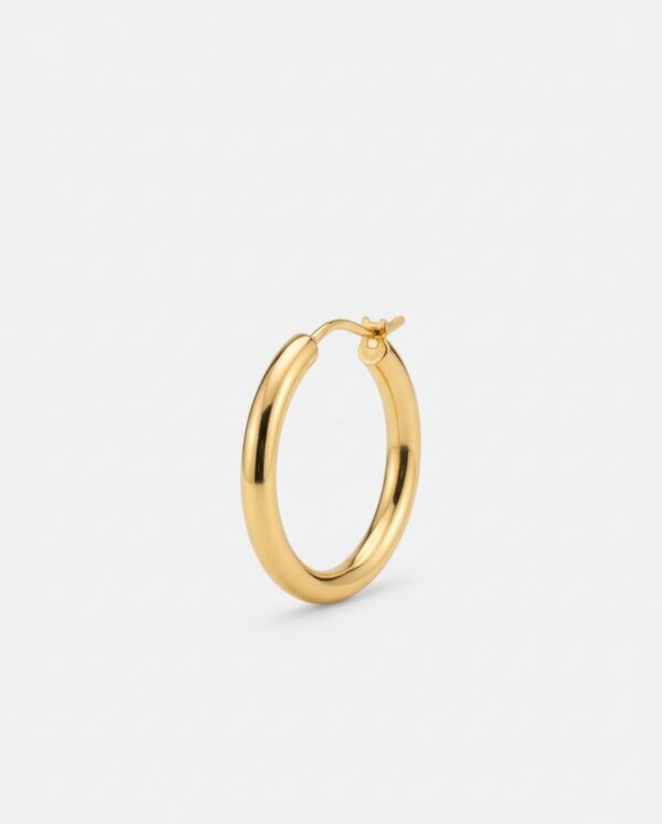 N0046 (1) Classic Halo Hoop